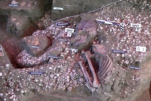 Sex Determination and Facial Approximation Using the Skull of Penang Woman