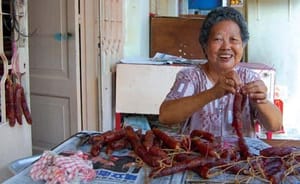 Welcoming the Year of the Tiger