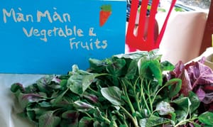 Quick Guide to A Green Life