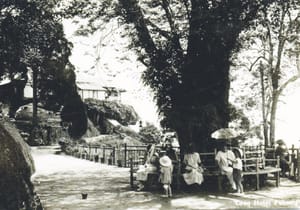 Postcards from the Hill