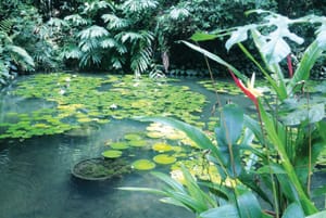 A Trail of Beauty and History