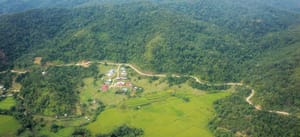 Where There’s A Will, There Can Be Light