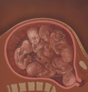 Honouring the Placenta in Malay Belief